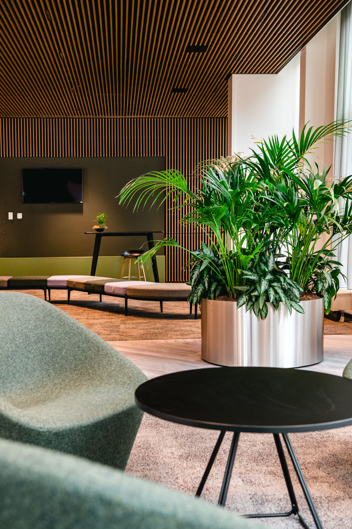 Projectinrichter Venlo