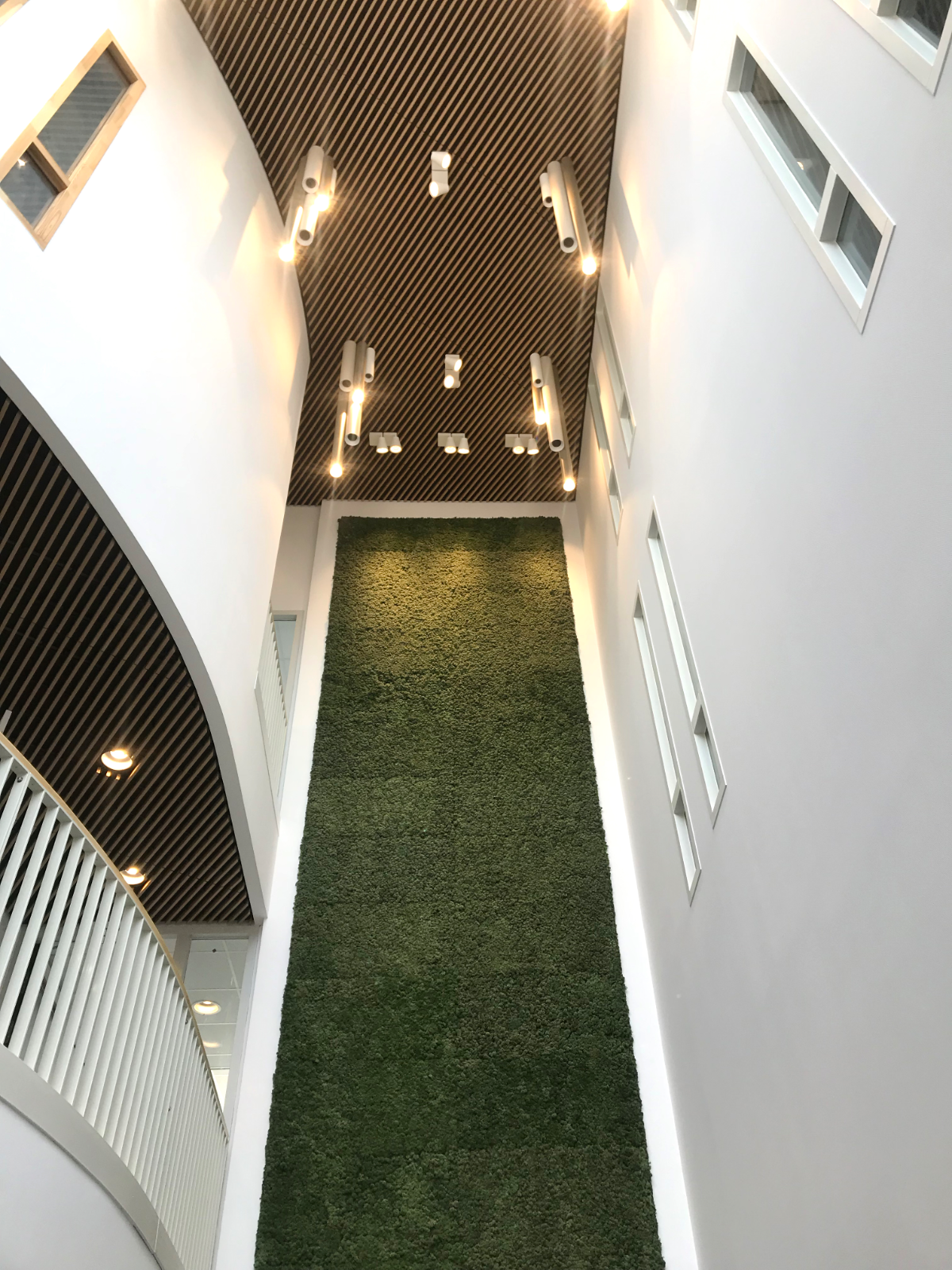 Lichtadvies