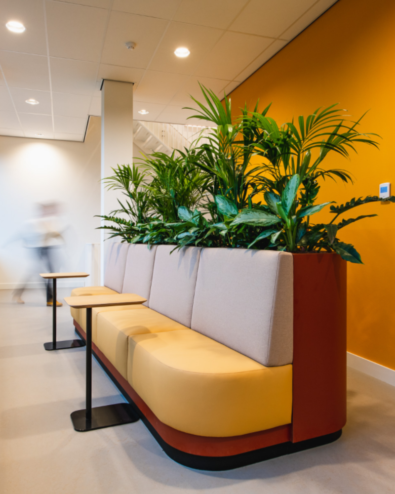 Ruimte- optimalisatie